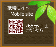 携帯サイト