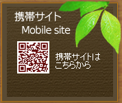 携帯サイト